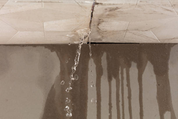 Professional Sewage Cleanup technician working in Holladay, UT